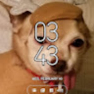 Meet your Posher, Martha